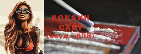 метадон Богданович