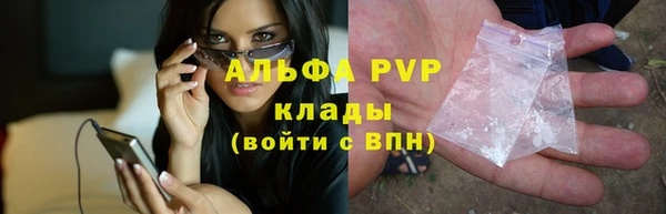 метадон Богданович
