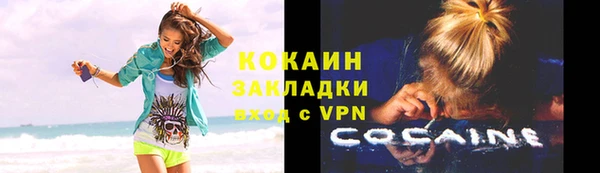 метадон Богданович