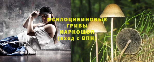 метадон Богданович