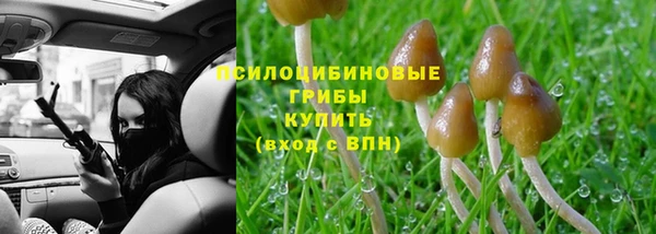 меф Богородицк